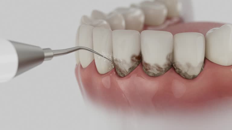 Reliable Dental contractor in Northwest Arctic Borough County, AK by Dentist Open Now